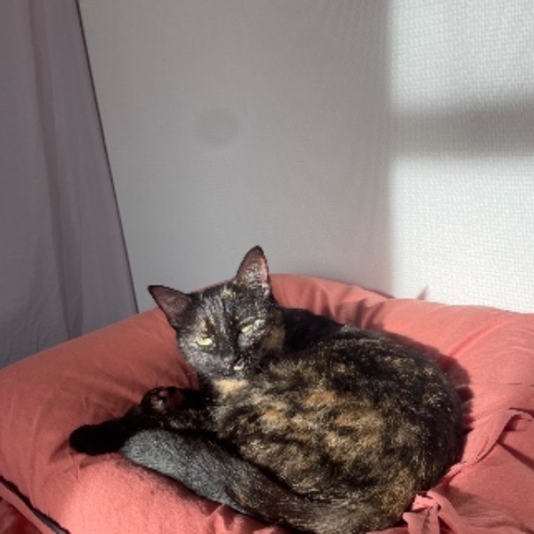 Laska