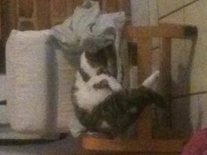 minette