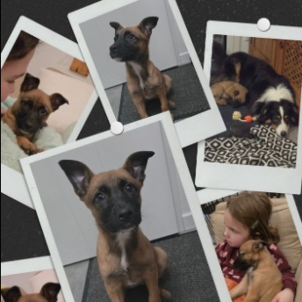 Anouk