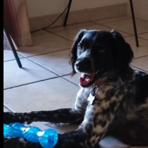 Roxie