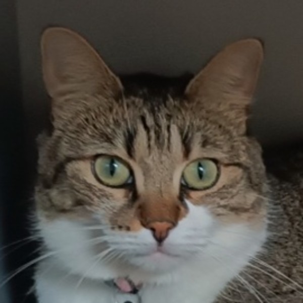 Nala