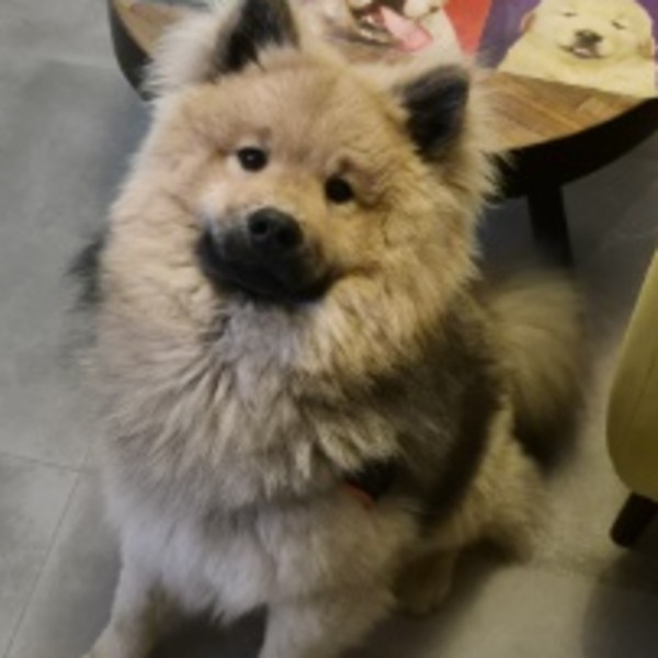 Nash