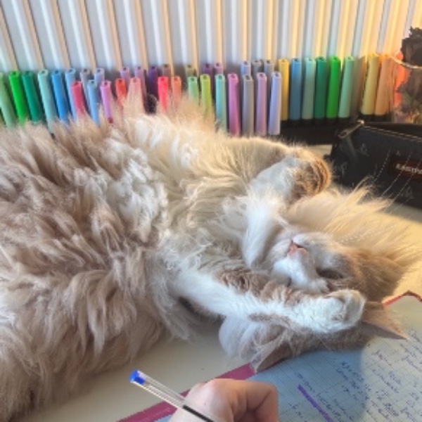 Hugsy