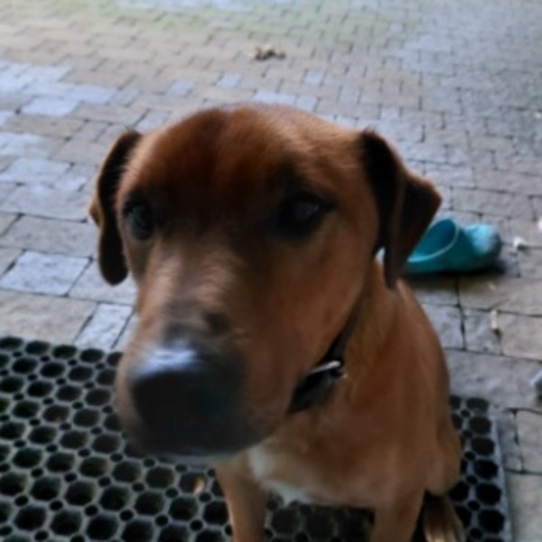USKO