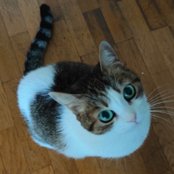 Joséphine