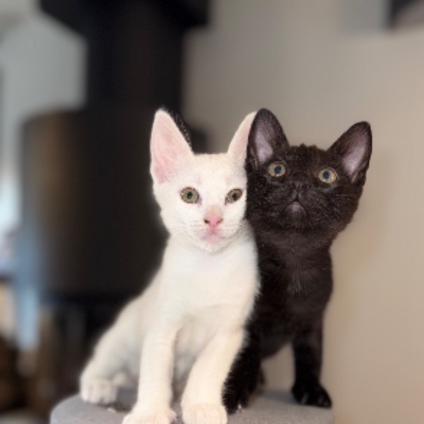 Tokyo & Namy