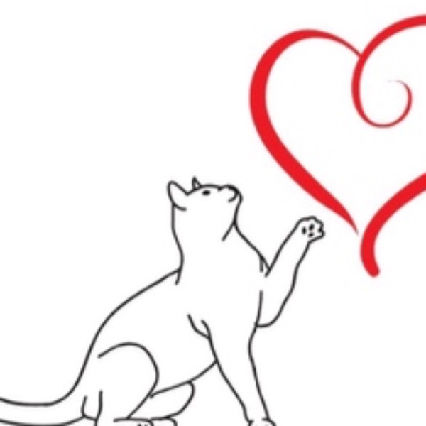 Chaton d’asso en fonction des périodes