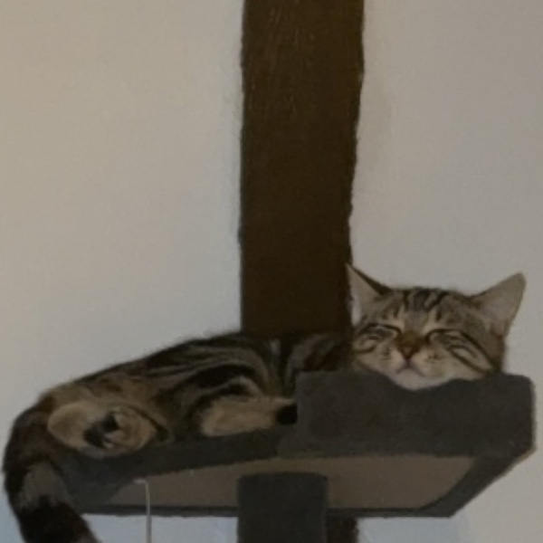 Apéro