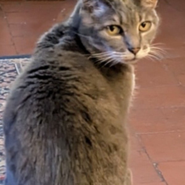 LILOU
