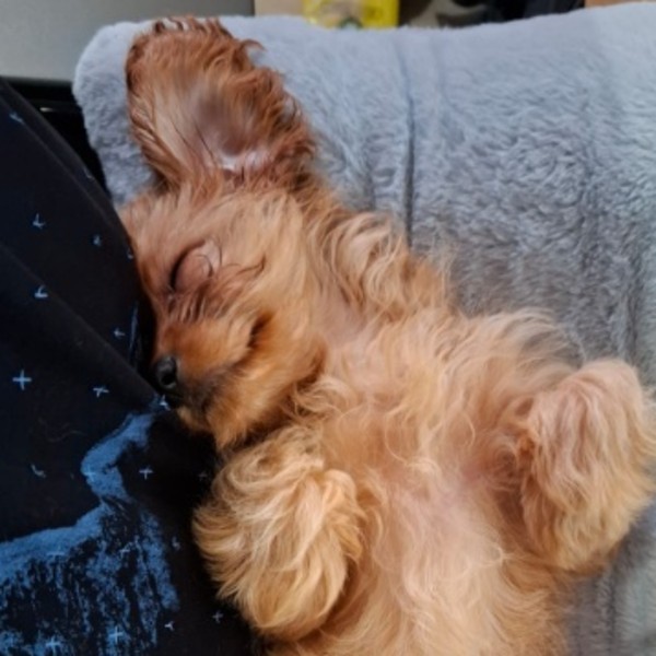 Leeloo