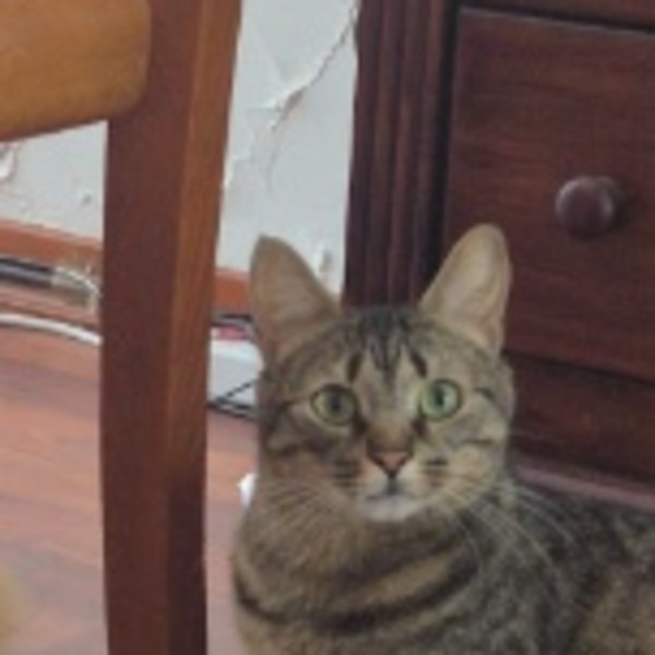 Pascale