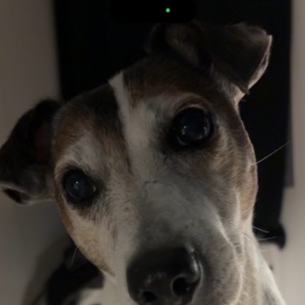 Jack