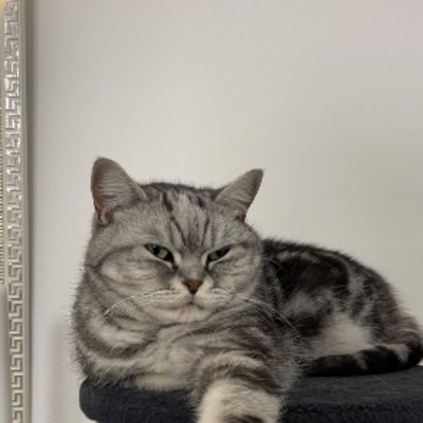 ZAZOU