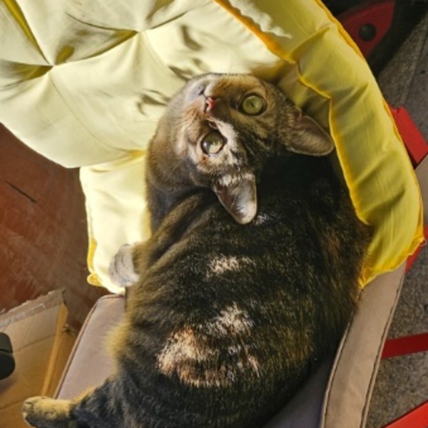 Fiona