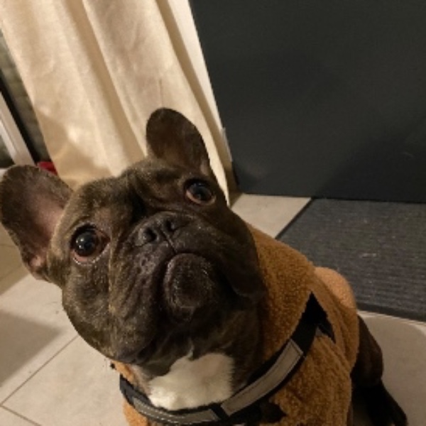 Yoda