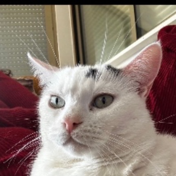 Sheldon
