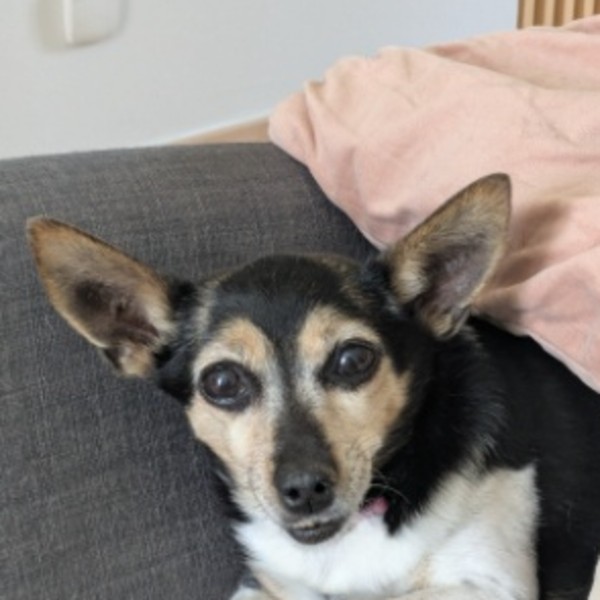 Winnie