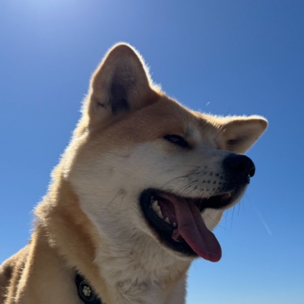 Sora