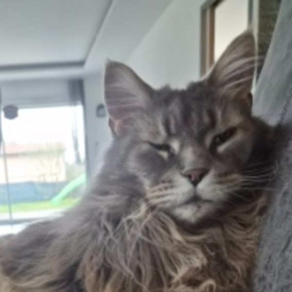 Isidor