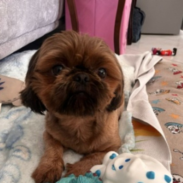 Romeo