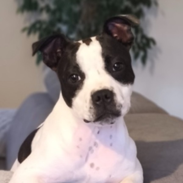 Maddy