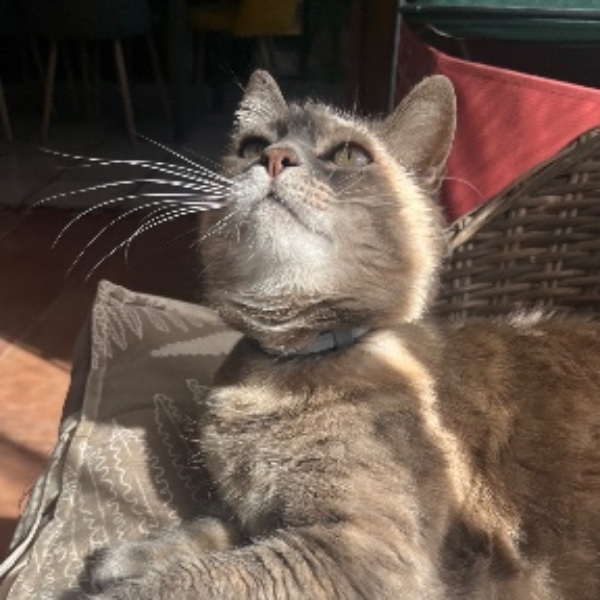 Gina