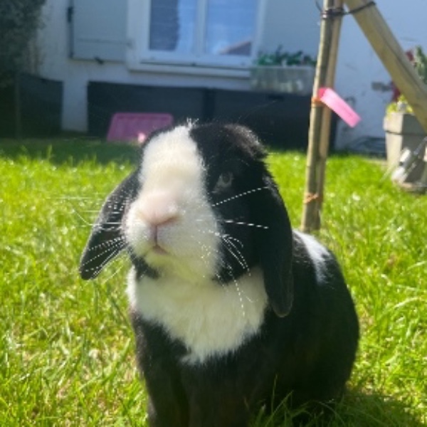 Charlie