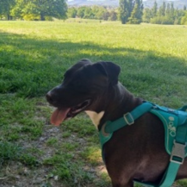 Nikita