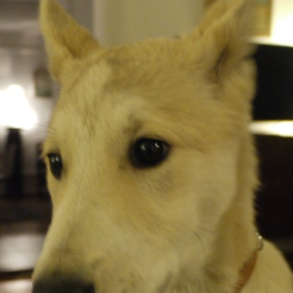 MILKA