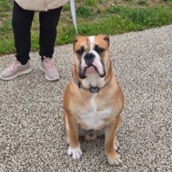 Max