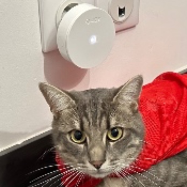 FELIX