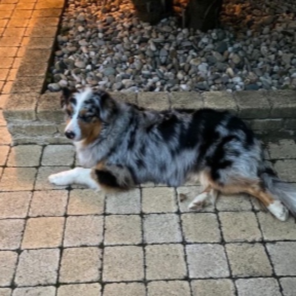 Roxy