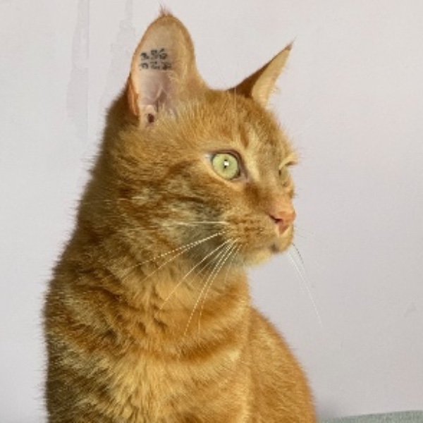 Rudy aka Titi