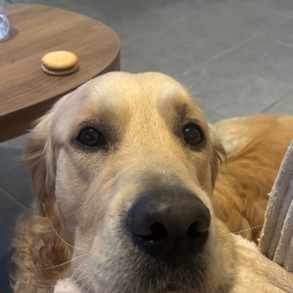 Milo