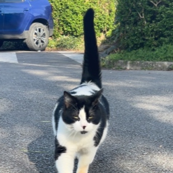 Floky