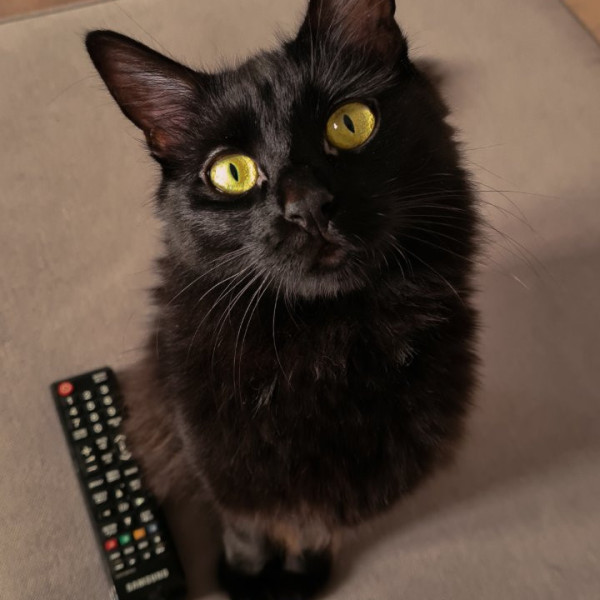 Shuri