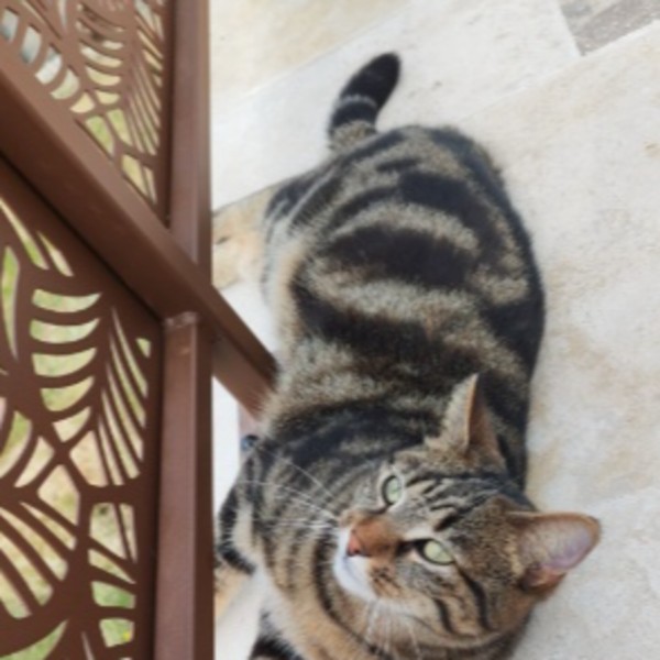 Lixy