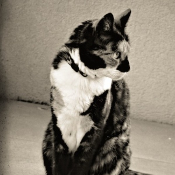Carlita