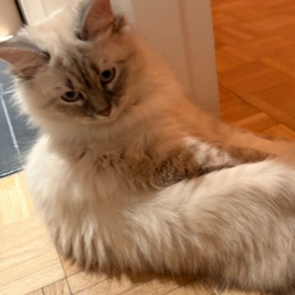 Abby