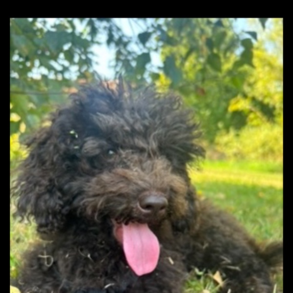 Winky