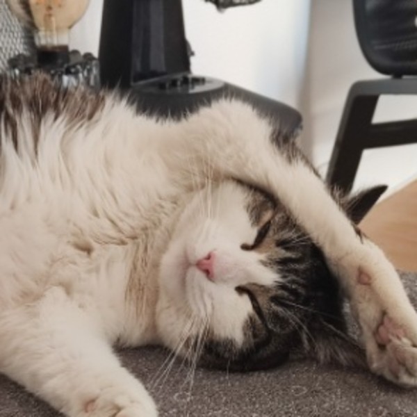Marcel