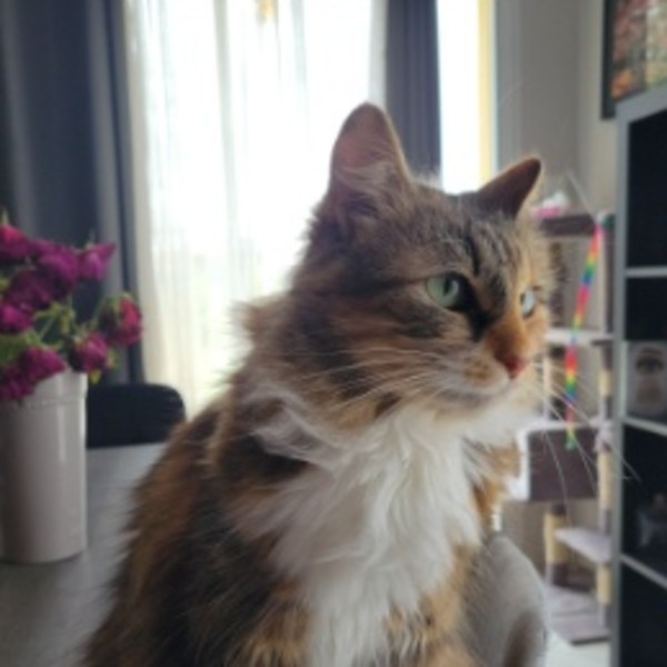Rita