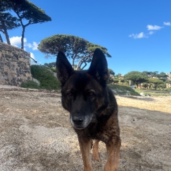 Lérox