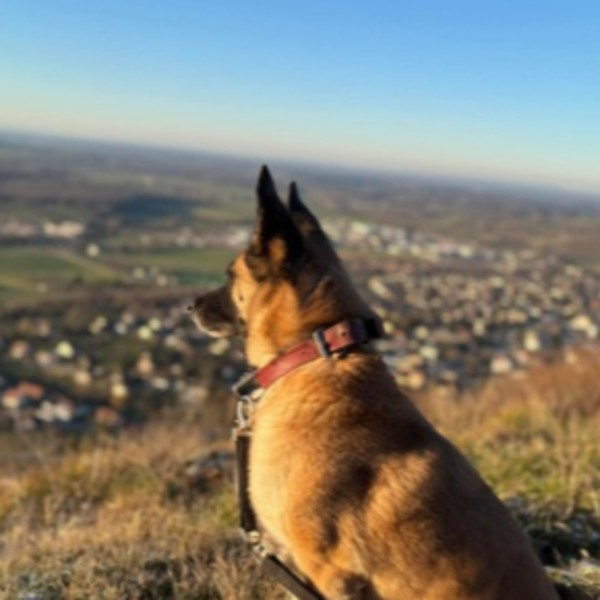 Nikita