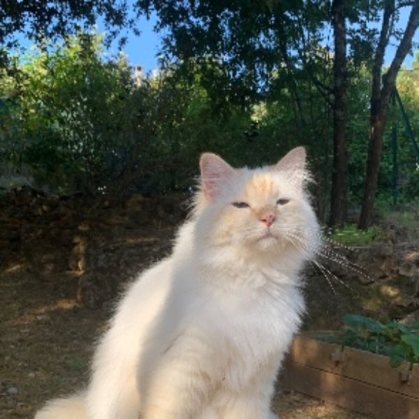 Pablo