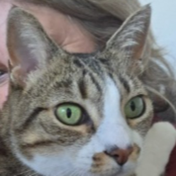 Tabitha