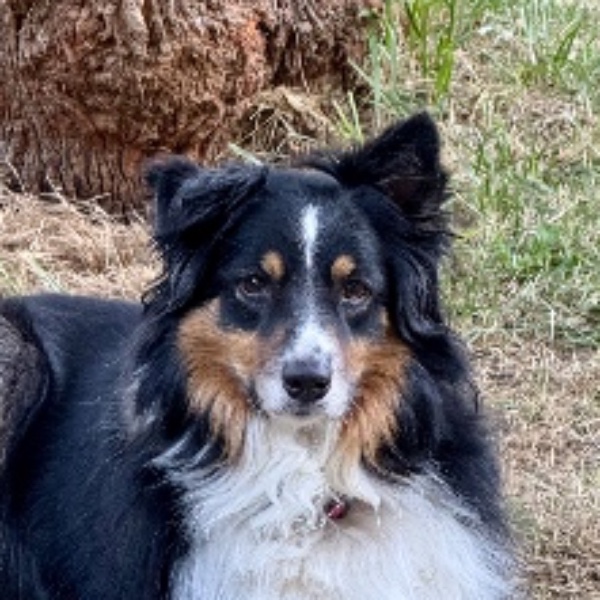 Rixie