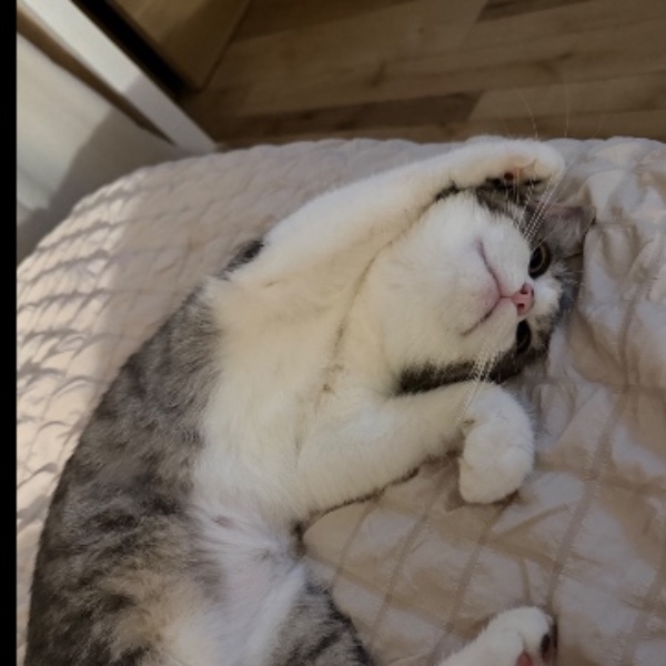Winnie