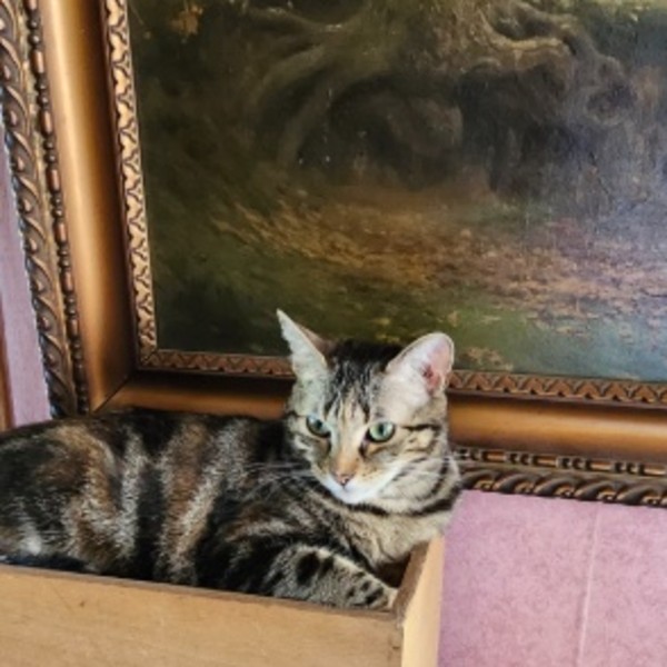 Nina