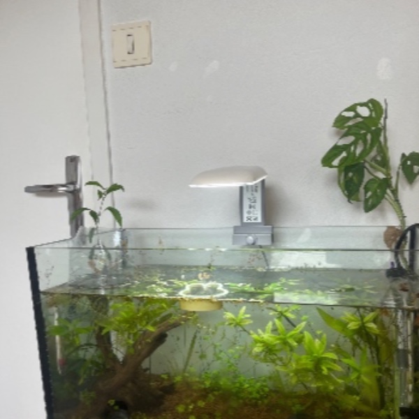 Aquarium